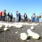 CAMPO (14)