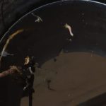 DENGUE (4)