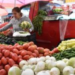 EXPORTAN (AGROALIMENTOS) (2) – copia