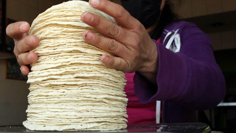 Prevén alza nacional en precio de tortilla