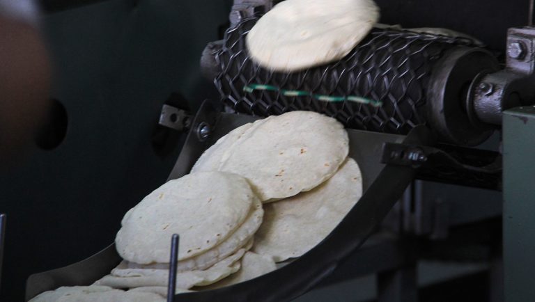 El kilo de tortilla llega a 24 pesos
