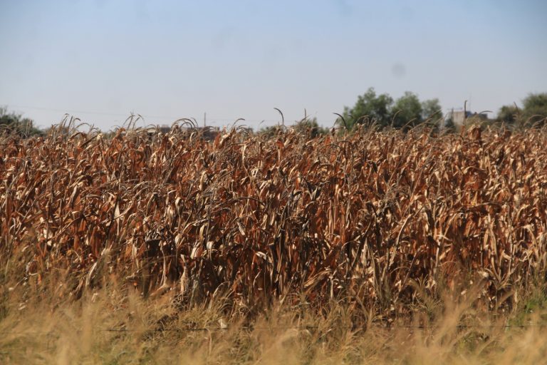 Agricultores liberan por 20 horas la caseta León–Aguascalientes