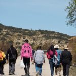 GTO MIGRANTES