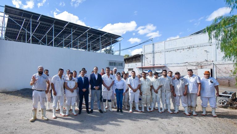 Instalan sistema fotovoltaico en el Rastro Municipal
