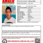 19 01 26 OCM POLI ALERTAS (6)
