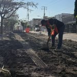 25 01 2026 LAR LOCAL PARQUE Jerez