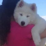 ALPHA (2)