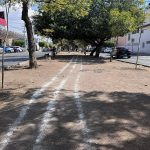 BOLE CAMELLÓN – copia