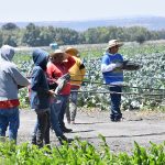 CAMPO (TECNIFICACIÓN) (4)