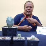 EVENTOS POLIFORUM (3)
