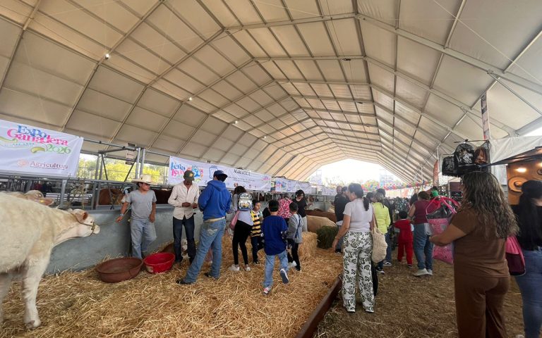 Vigilan sanidad del ganado en la Feria