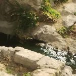 HUMEDALES (1)