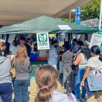VACVUNAS (FERIA) (3)