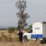 1000003396