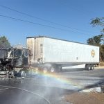 ALE TERRORISMO (5)