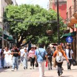 JORNADA (4)