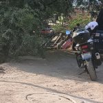 MATAN A HUEVOLÁS – copia