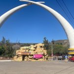 ZOOLOGICO (1)