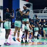 ABEJAS FEMENIL (5)