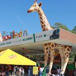 ALE-ZOOLOGICO (11)