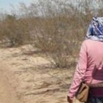 BUSCAN (4)