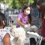 ESTERIZACIONES (MASCOTAS) (7)