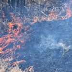 INCENDIOS (1)