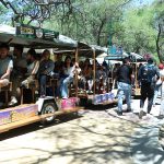 RUTA PASALE GRATIS (5)