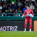 gato garcia
