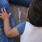 ADOPCIONES (3)