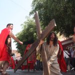 COECILLO SOIS (15)
