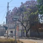 OXÍGENO