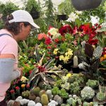 PLANTAS FERIA (5)