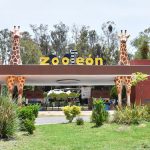 ZOO
