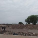 PARQUE NUEVO (6)