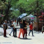 PASALE GRATIS (3)