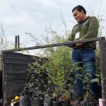 REFORESTACIÓN PURISIMA (1)