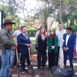 PURI EVENTO ARBORADO