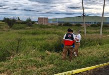 Hallan dos cuerpos junto a la carretera