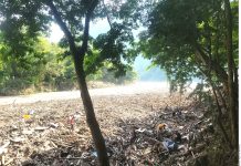 Agua y lodo arrasan poblados en Nepal