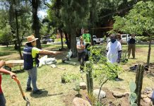 Plantan jardín mexicano en parque Haciendas del Rosario