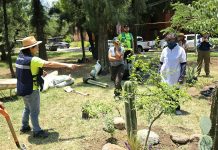 Plantan jardín mexicano en parque Haciendas del Rosario