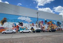 León tendrá mural inspirado en One Piece