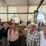 SILAO ENTREGA GANADO (4)