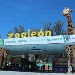 ZOOLOGICO MURO (5) – copia
