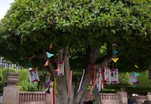 Ya son tres los árboles de la esperanza en la zona Centro de León