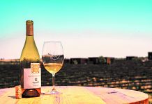 De vino en vino: Irapuato celebra su fiesta vinícola