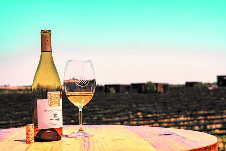 De vino en vino: Irapuato celebra su fiesta vinícola