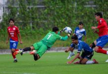 León presume su nuevo semillero