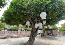 Instalan cuarto Árbol de la Esperanza